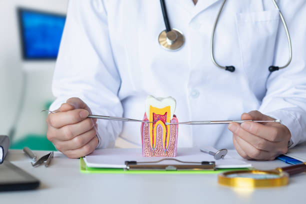 Best Tooth Infection Emergency Dentist  in Pleasant Run Farm, OH